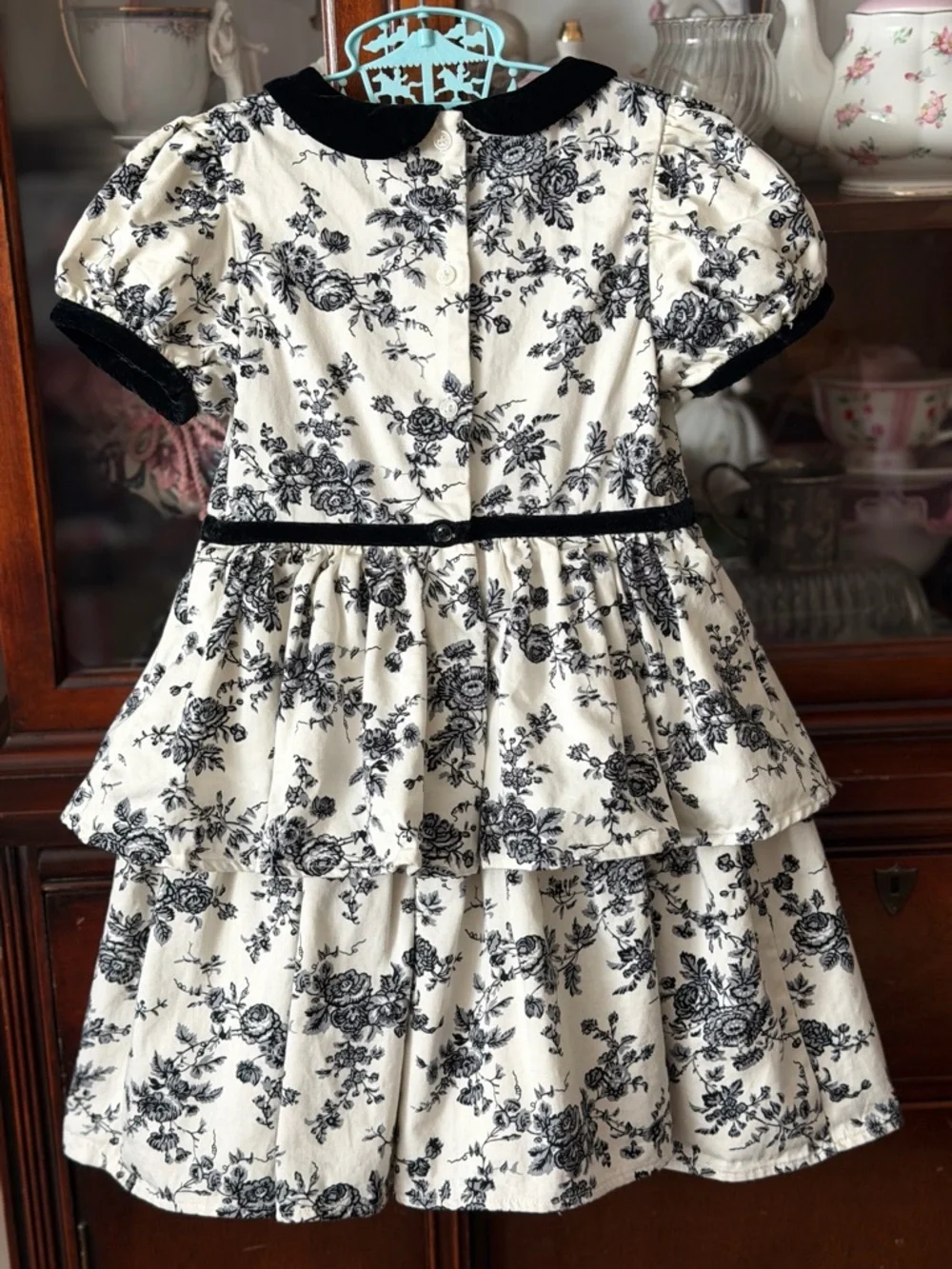 Janie and Jack Girls Cream and sugar Floral  toile Dress Black velvet Trim - Picture 9 of 11